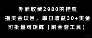 外面收费2980的挂G撸美金项目,单日收益30+美金,可批量可矩阵【揭秘】-创学笔记