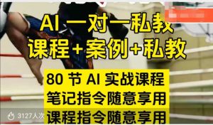 AI指令实战课,课程+案例,80节AI实战课程,笔记指令随意享用,课程指令随意享用(更新7月)-创学笔记