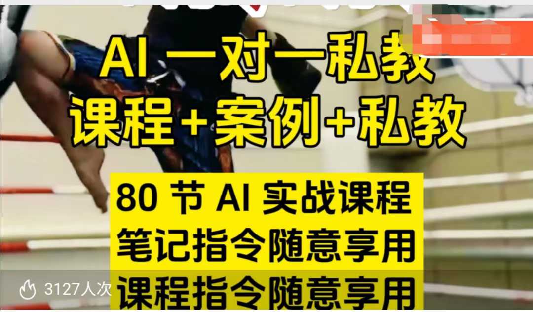 AI指令实战课，课程+案例，80节AI实战课程，笔记指令随意享用，课程指令随意享用（更新7月）-创学笔记