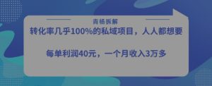 转化率最高的私域项目,每单利润40-50米,月入过1w-创学笔记
