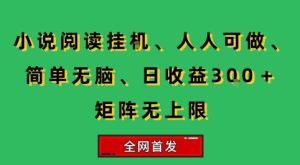 小说挂G阅读,人人可做,简单无脑,一天收益3张+矩阵无限上,全网首发【揭秘】-创学笔记